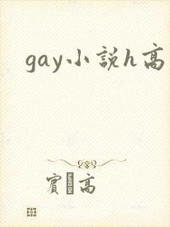 gay小说h高