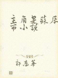 主角是苏辰的都市小说