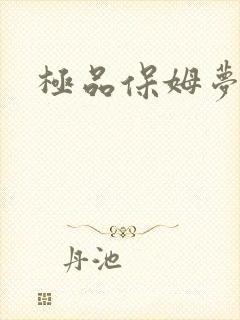 极品保姆梦梦封面