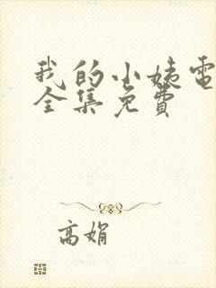 我的小姨电视剧全集免费