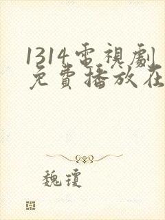 1314电视剧免费播放在线观看