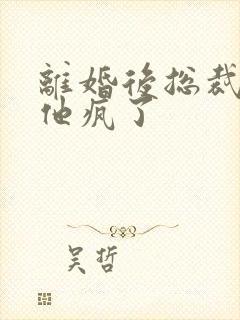 离婚后总裁前夫他疯了