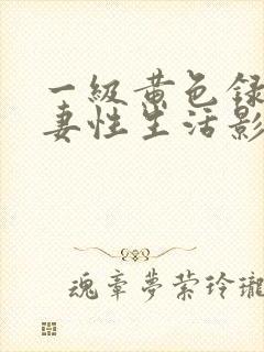 一级黄色录像夫妻性生活影片免费在线观看