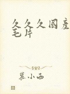 久久久国产精品毛片封面