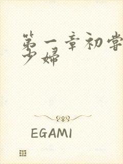 第一章初尝极品少妇封面