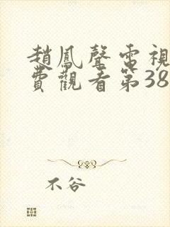 赵凤声电视剧免费观看第38集