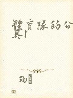 体育队的公用玩具1