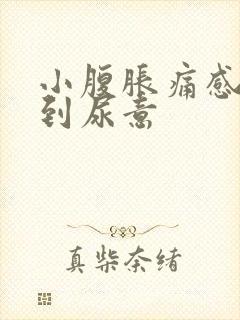 小腹胀痛感觉不到尿意