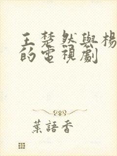 王楚然与杨洋演的电视剧