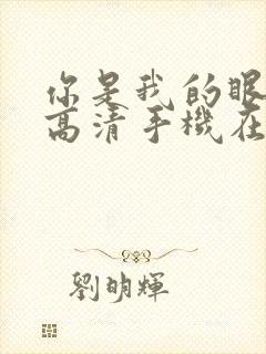 你是我的眼全集高清手机在线观看封面