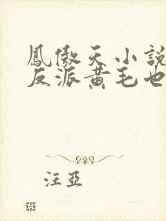 凤傲天小说里的反派黄毛也想幸福