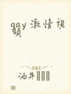 gay 激情视频