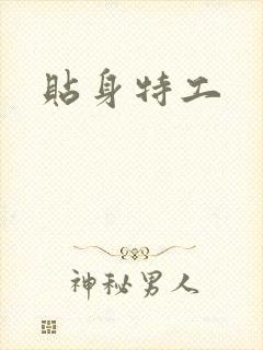 贴身特工