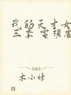 我的天才女友第三季 电视剧