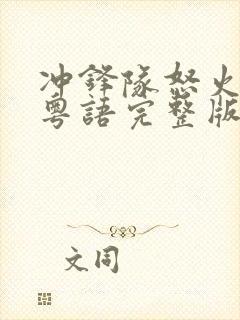 冲锋队怒火街头粤语完整版封面