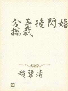 分手后闪婚男模总裁