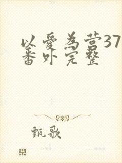 以爱为营37集番外完整