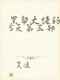 黑帮大佬的365天第三部封面