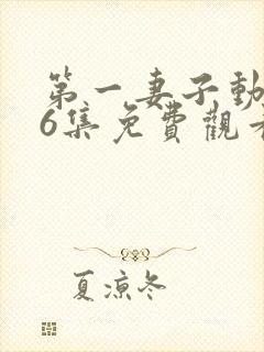 第一妻子动漫第6集免费观看