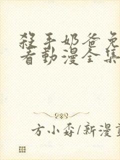 杀手奶爸免费观看动漫全集完整版