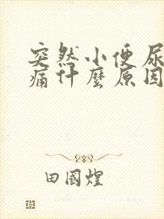 突然小便尿道刺痛什么原因