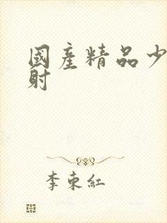 国产精品少妇内射