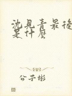 沈见青最后结局是什么