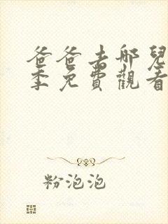 爸爸去哪儿第5季免费观看完整版封面