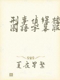 刑事侦缉档案3国语字幕版封面