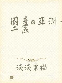 国产a亚洲一区二区