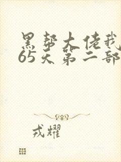 黑帮大佬我的365天第二部