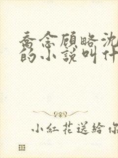 乔念顾略沈方诚的小说叫什么