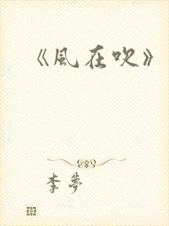 《风在吹》电影