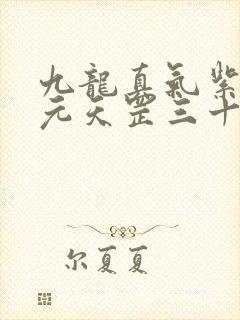 九龙真气紫薇真元天罡三十六法地煞七十二术