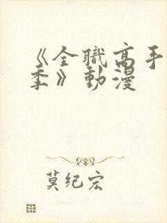 《全职高手第二季》动漫