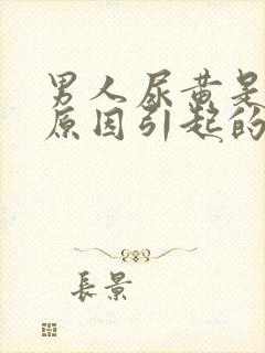 男人尿黄是什么原因引起的