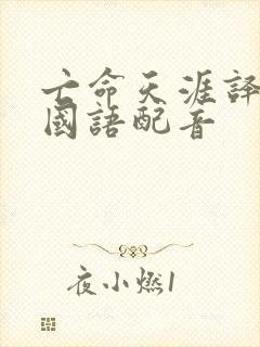 亡命天涯译制片国语配音