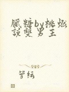 脏糖by桃燃小说双男主封面