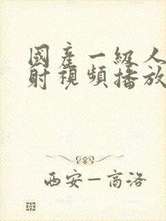 国产一级人片内射视频播放