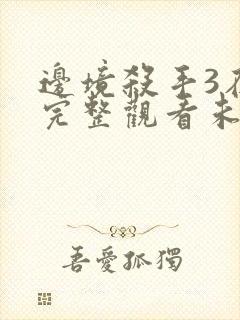 边境杀手3在线完整观看未删减封面