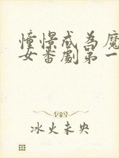 憧憬成为魔法少女番剧第一季