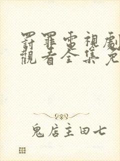 罚罪电视剧在线观看全集免费高清