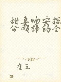 甜妻吻安总裁老公超棒的全文阅读