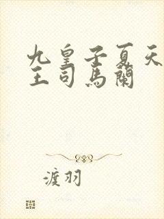 九皇子夏天荒州王司马兰