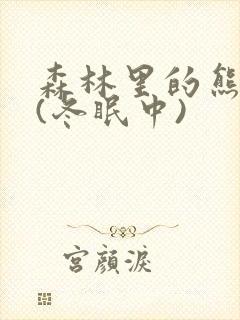 森林里的熊先生(冬眠中)