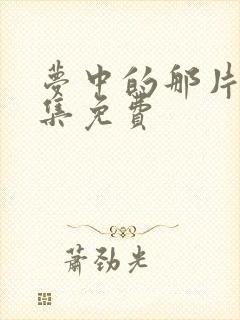 梦中的那片海全集免费