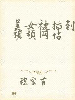 美女被插到爽的视频网站