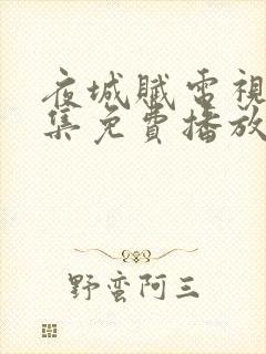 夜城赋电视剧全集免费播放封面