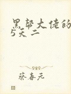 黑帮大佬的365天二封面