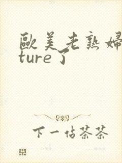 欧美老熟妇mature了